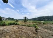 Petani Cipatir Kecamatan Simpenan Sukabumi Cemas, Garap Sawah di Musim Hujan: Irigasi Belum Diperbaiki, Luapan Sungai Mengintai