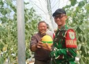 Ada Wisata Petik Melon Dekat Kantor Kecamatan Cisolok