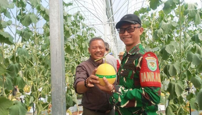 Ada Wisata Petik Melon Dekat Kantor Kecamatan Cisolok